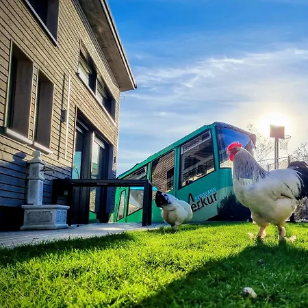 Prázdninový dům Exklusives Holzhaus Mit Bergbahn - Im Schwarzwald *