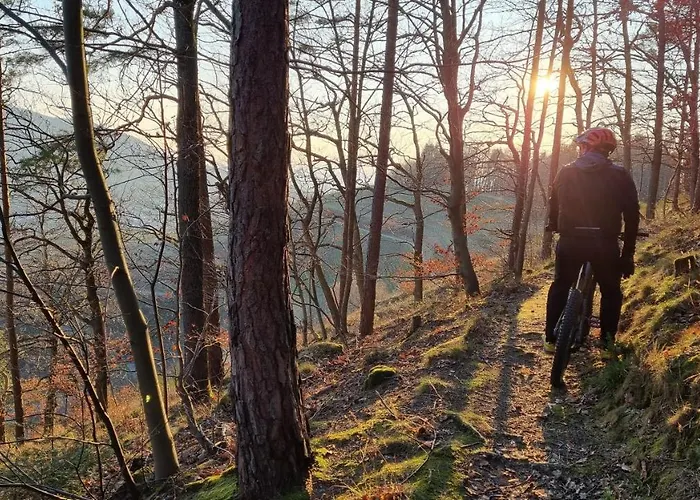 Exklusives Holzhaus Mit Bergbahn - Im Schwarzwald Dom wakacyjny *
